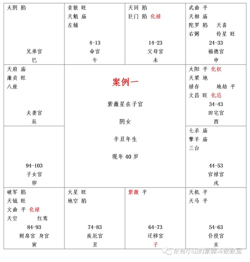 紫微斗数疾厄宫干兄友兄友权入兄友