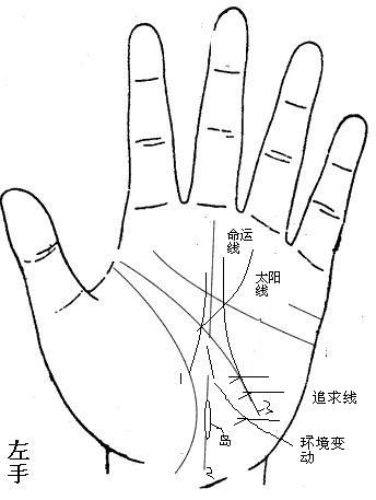 女假斷掌手相算命圖解_女左手斷掌手相圖解_女左手手相圖解斷掌